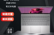 戴尔新灵越13pro 5330高颜值13.3英寸evo认证指纹解锁手提笔记本电脑 1608银i5-1340p/16g/512g和戴睿（dere）r13显卡性能区别是什么？哪个在实际应用中展现更好？